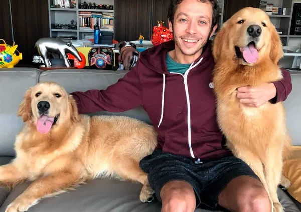 Valentino Rossi: "Se dovevo stare 10 giorni ad Aragon mi buttavo dal terrazzo"