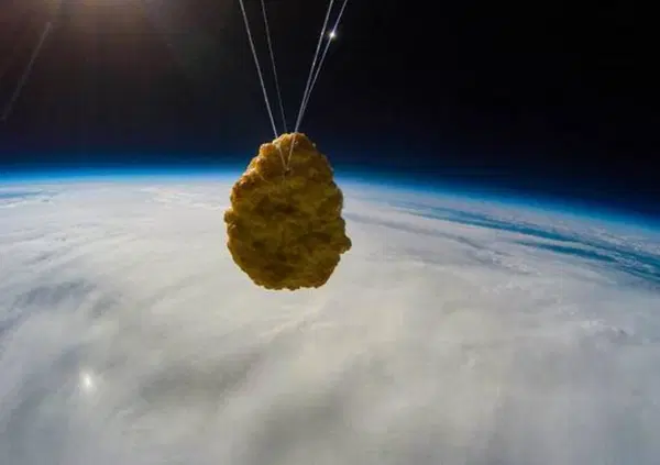 Una crocchetta di pollo &egrave; stata lanciata nello spazio