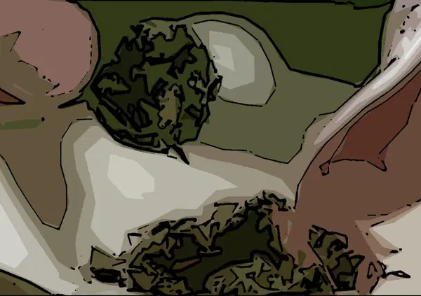 &Egrave; l&rsquo;anno d&rsquo;oro della cannabis light. E Weedfly &egrave; il made in Italy che spopola