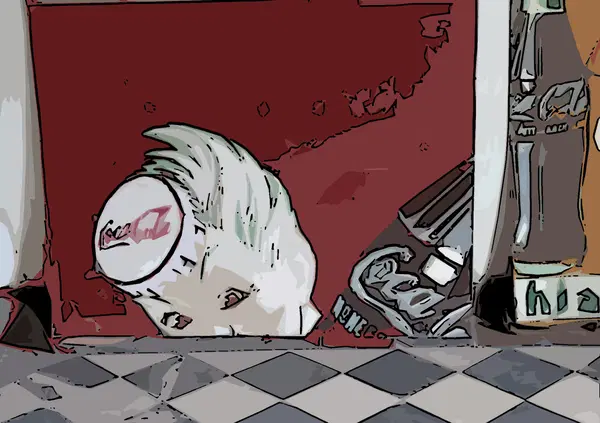 Dalle vecchie terme la scoperta: bere CocaCola rendeva Ducatisti