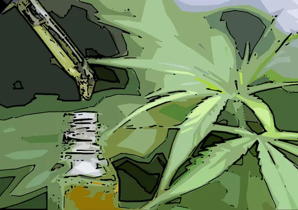 Cannabis, Sammartino: "In Italia prevale confusione politica e ideologica&rdquo;