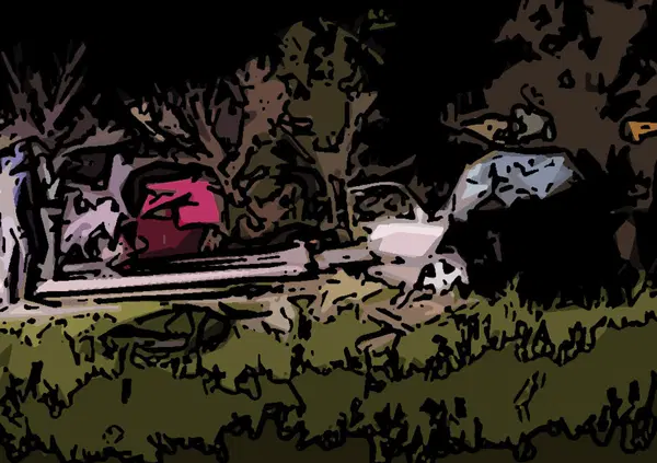 L'incidente mortale in diretta social, tragedia tra Lazio e Campania