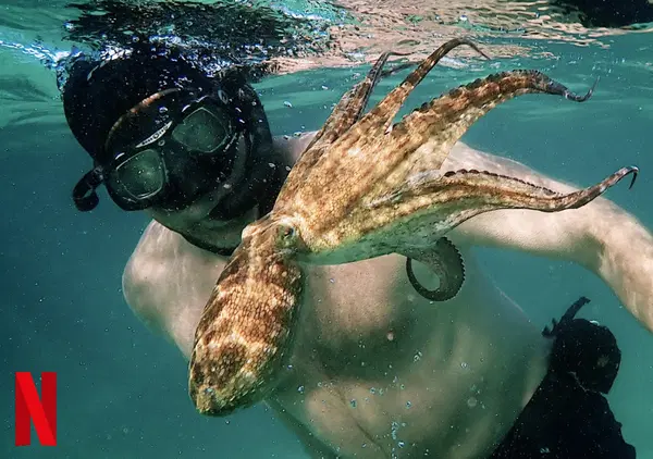 Il cinema civile? Oggi ha per protagonista un polpo e la sua saggezza (che ci riempie l'anima)