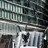 Vanni Oddera e la Mototerapia a Palazzo Lombardia: “Abbiamo fatto i salti mortali sulla testa di Salvini” 3