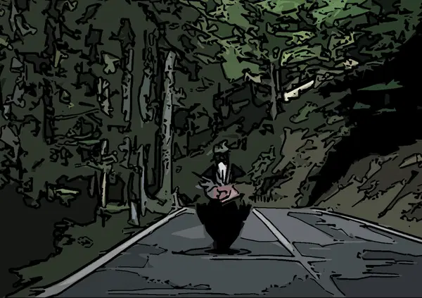 Ducati Beyond the Passion: il primo docufilm di Moto.it, disponibile su Discover+, Chili e Motortrend