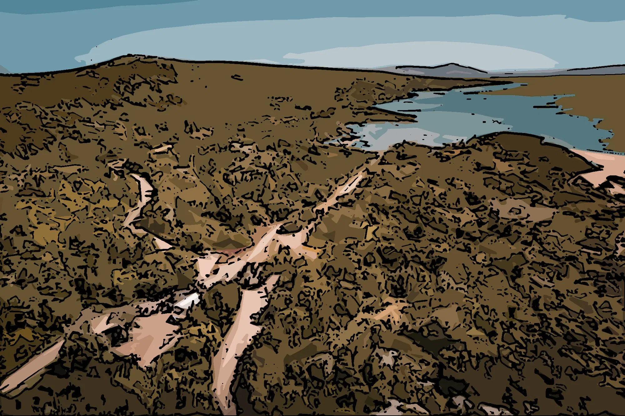 20210614 182743495 9555