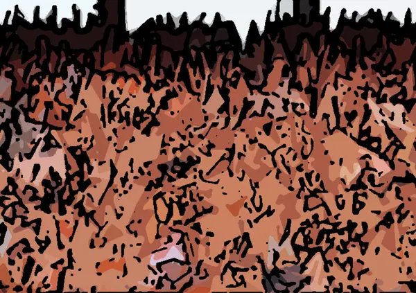 Max Verstappen e quel carisma che muove le folle. Come Alberto Tomba e Valentino Rossi 