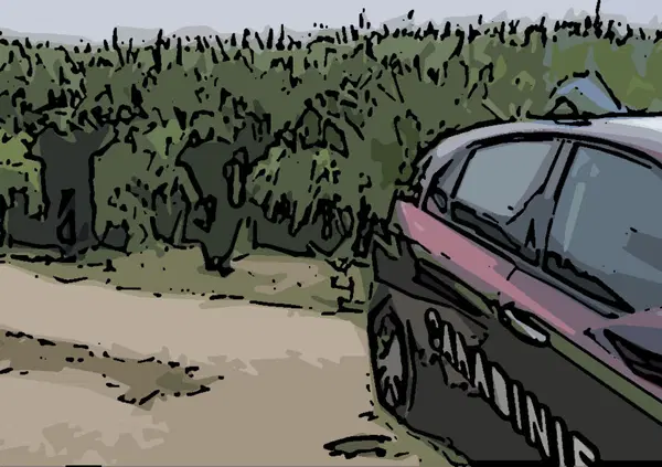 Trovate morte in un campo, giovane bracciante indagato per omicidio colposo