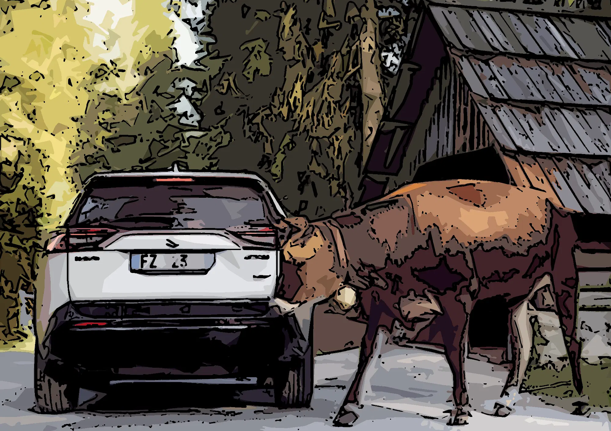 20210830 172204971 4751