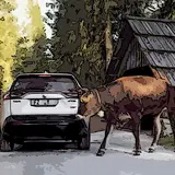 “Le ibride consumano tanto e sono noiose”. Tutte balle (in alcuni casi) 4