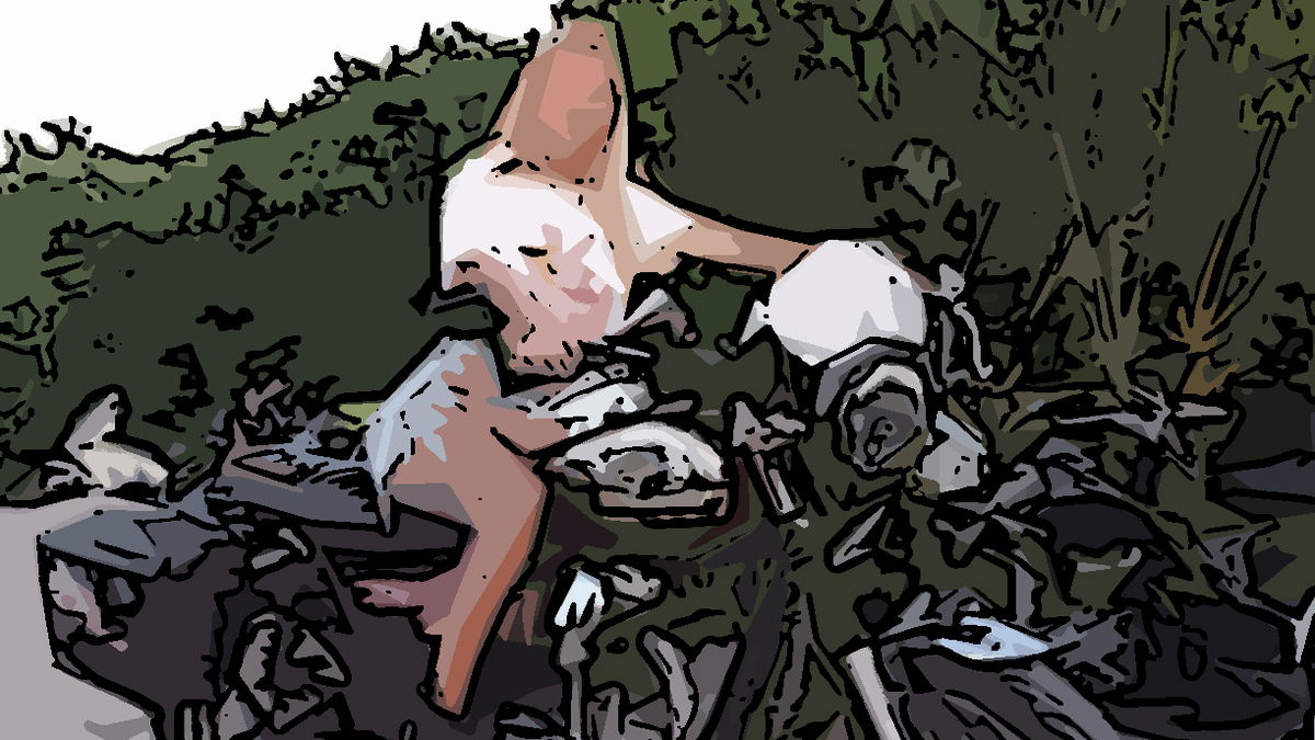 Porno e delirio in Emilia: al Biker Fest tra sicurezza stradale, birra e  salsiccia - MOW - Mowmag.com