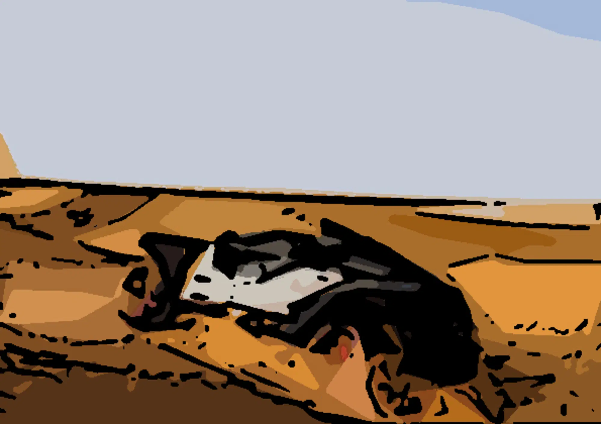 20211010 162548962 5583