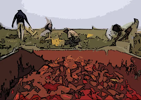 S&igrave; caro Papa, la Puglia &egrave; un po' pericolosa, soprattutto per la gente onesta che la abita