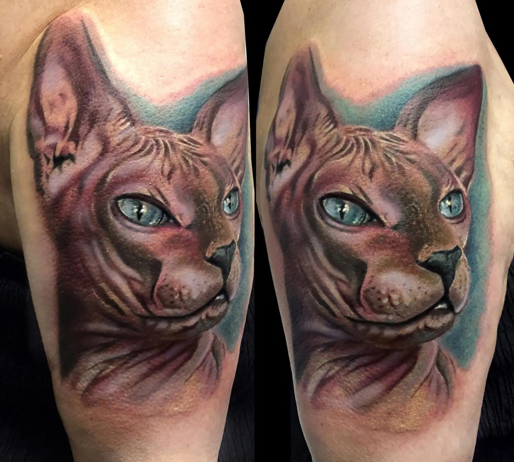 20220302 165804023 3655