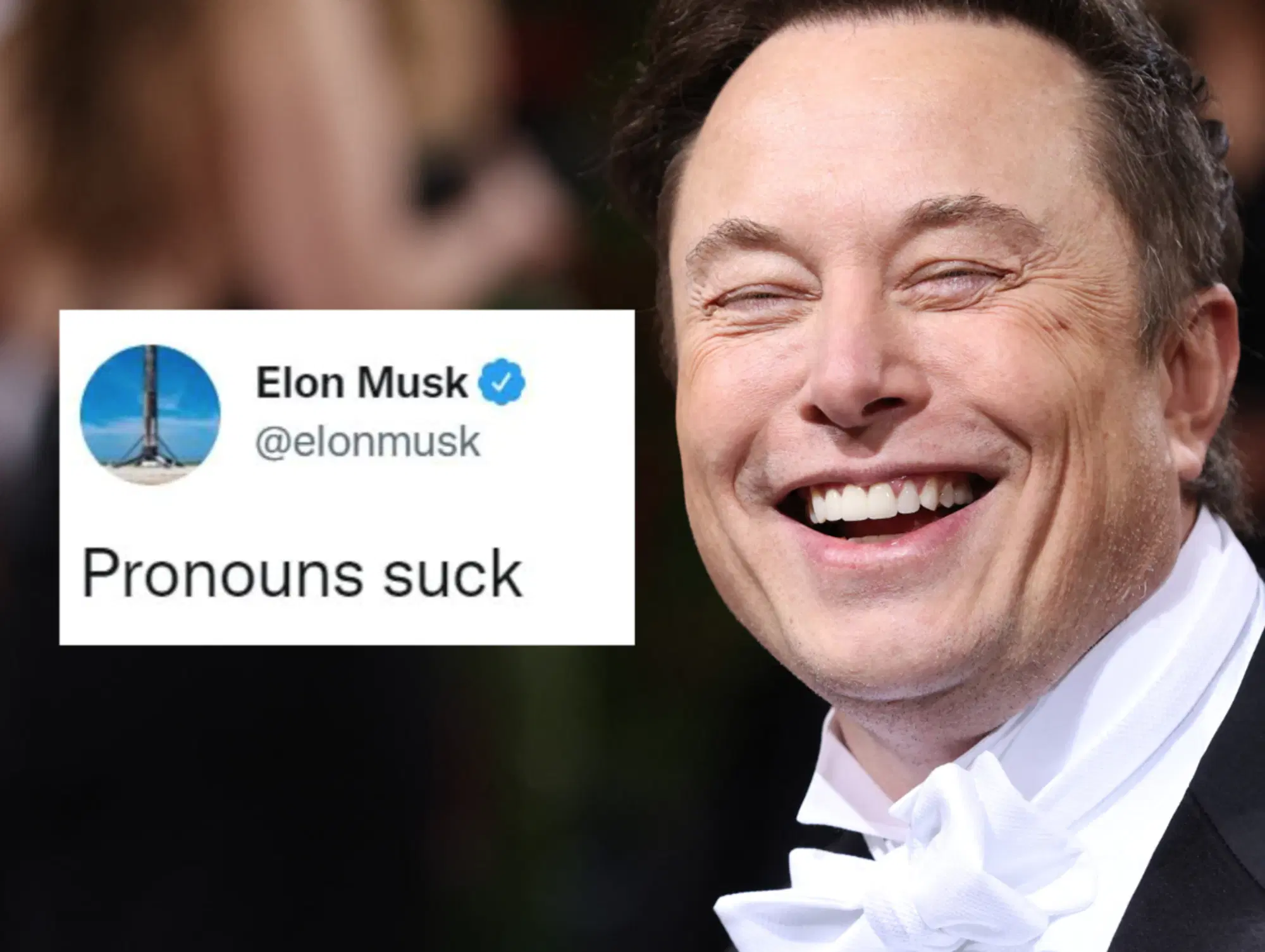 Tweet di Musk sui "pronomi che fanno schifo"