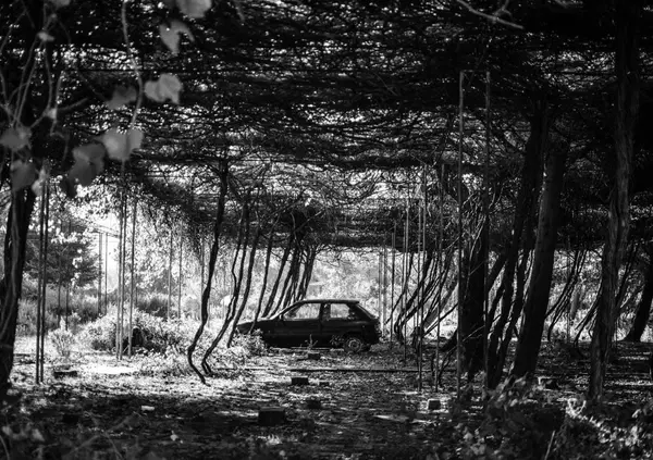 Davide Bregola, scrittore in via d&rsquo;estinzione, ci porta &ldquo;Nei luoghi ideali per la camporella&rdquo;