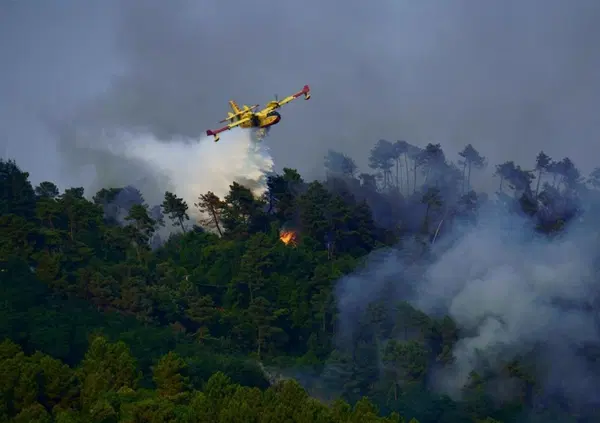 Ma quale caldo, gli incendi in Italia sono dolosi! E all'estero non va meglio... [VIDEO]