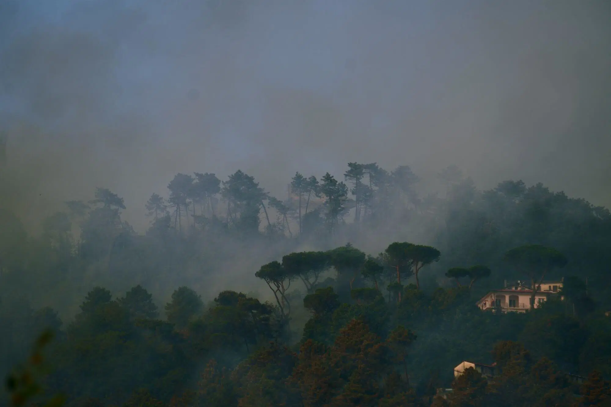 20220720 142458267 7836