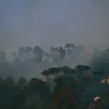 Ma quale caldo, gli incendi in Italia sono tutti dolosi. E non solo in Italia... [VIDEO] 2
