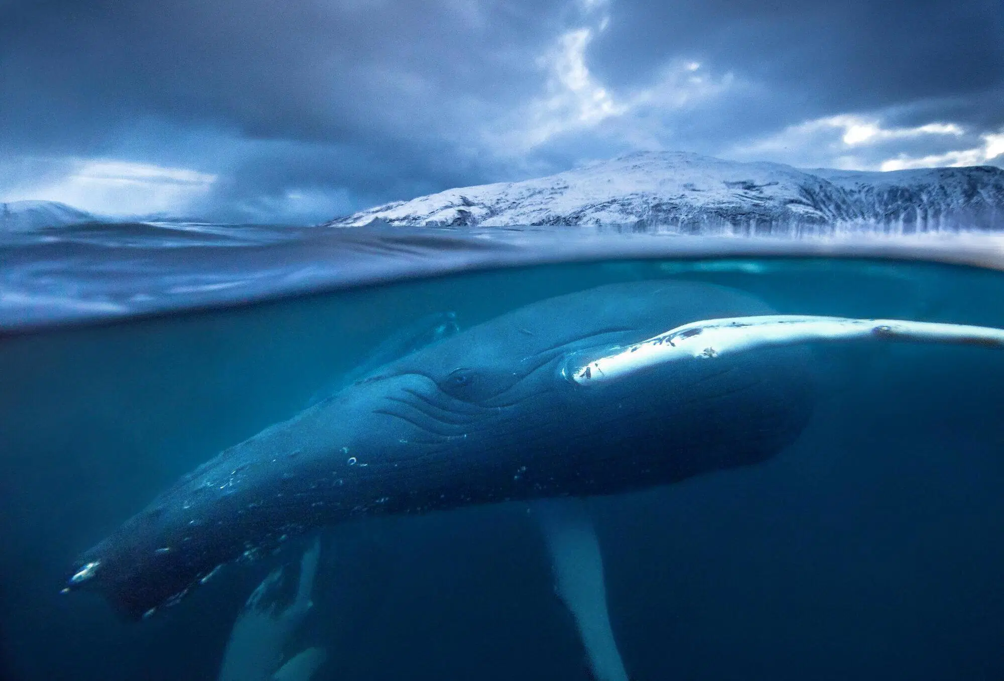 20220802 163404239 8906