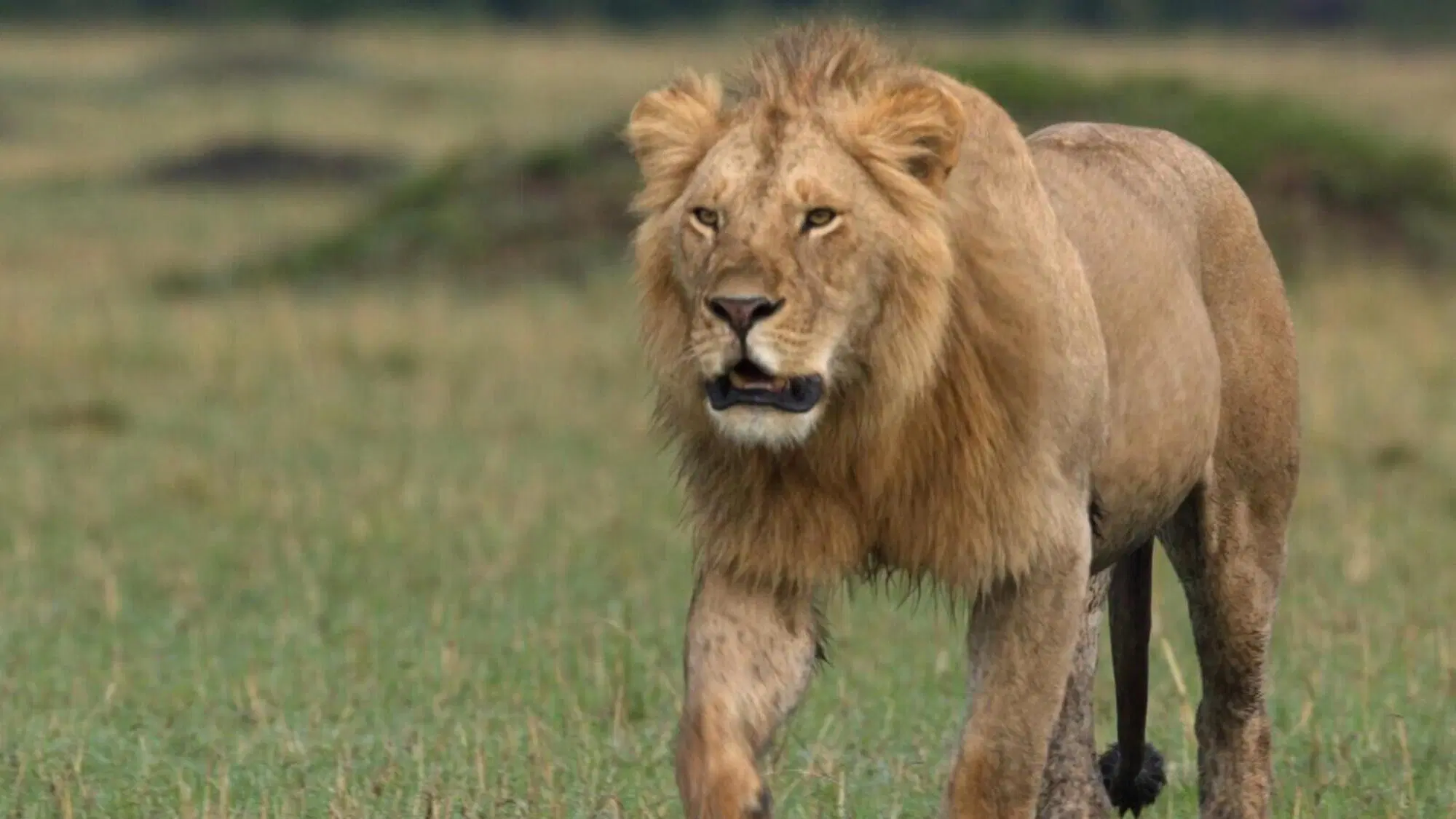 20220802 164517788 4232