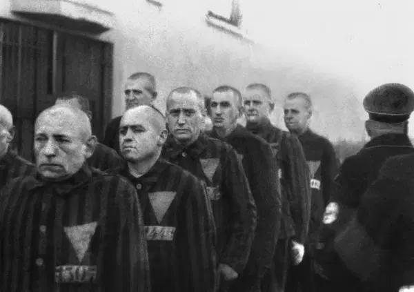 Torna il capolavoro di Ir&egrave;ne N&eacute;mirovsky: "Tempesta in giugno" e quell'esodo drammatico durante il nazismo