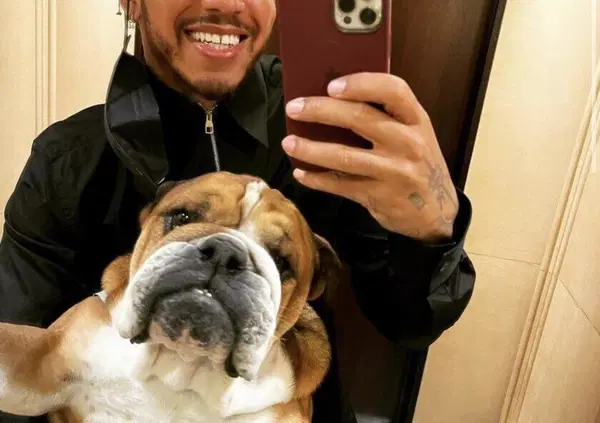 [VIDEO] Hamilton spiega la dieta del suo cane vegano: "La sua vita &egrave; cambiata"