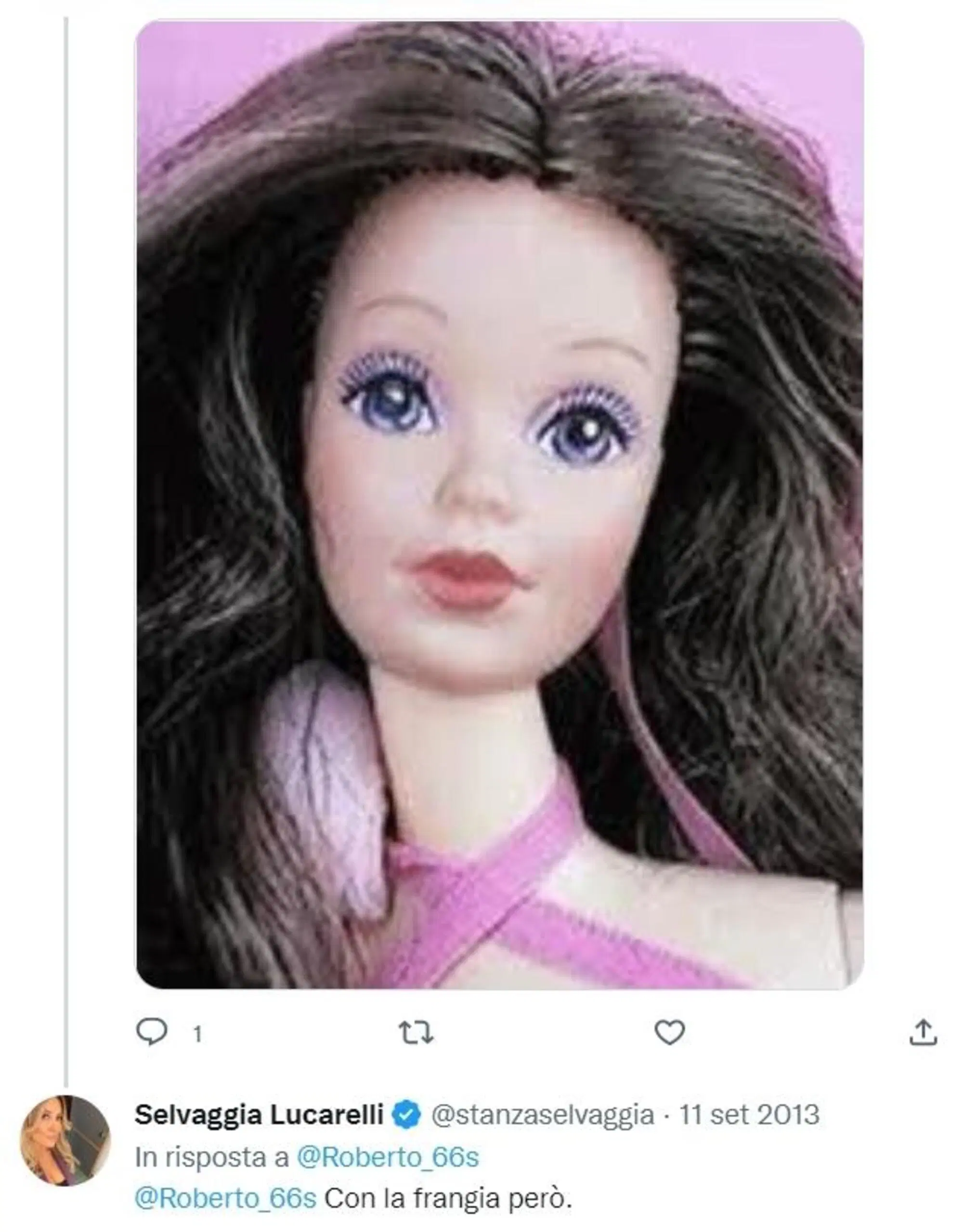 L'ulteriore commento di Selvaggia sulla capigliatura della Bernini