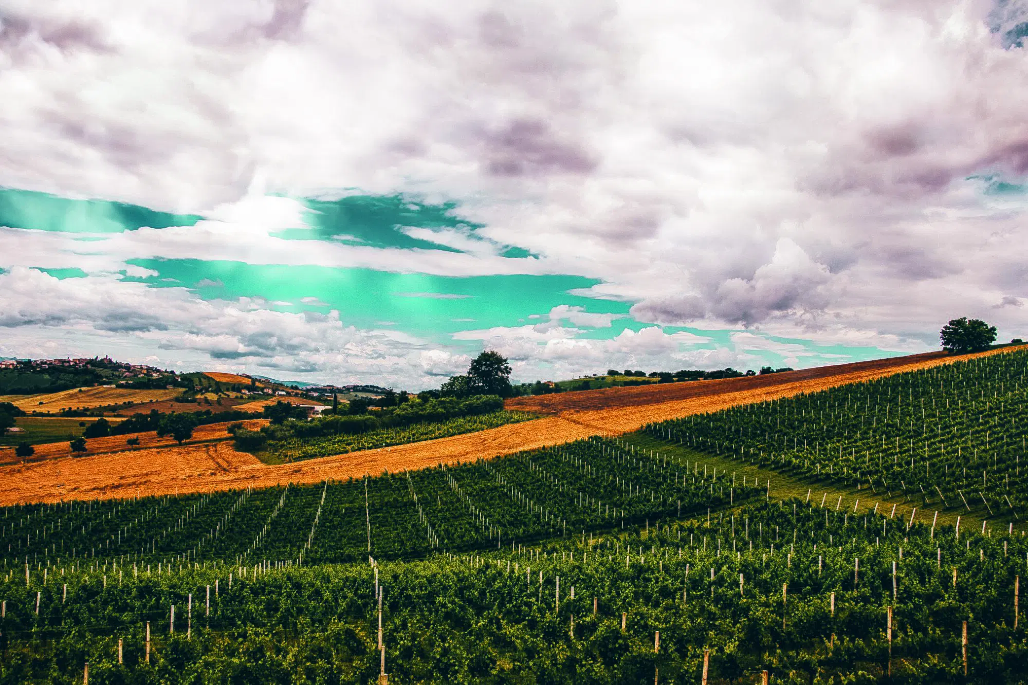 20230310 180309060 9703