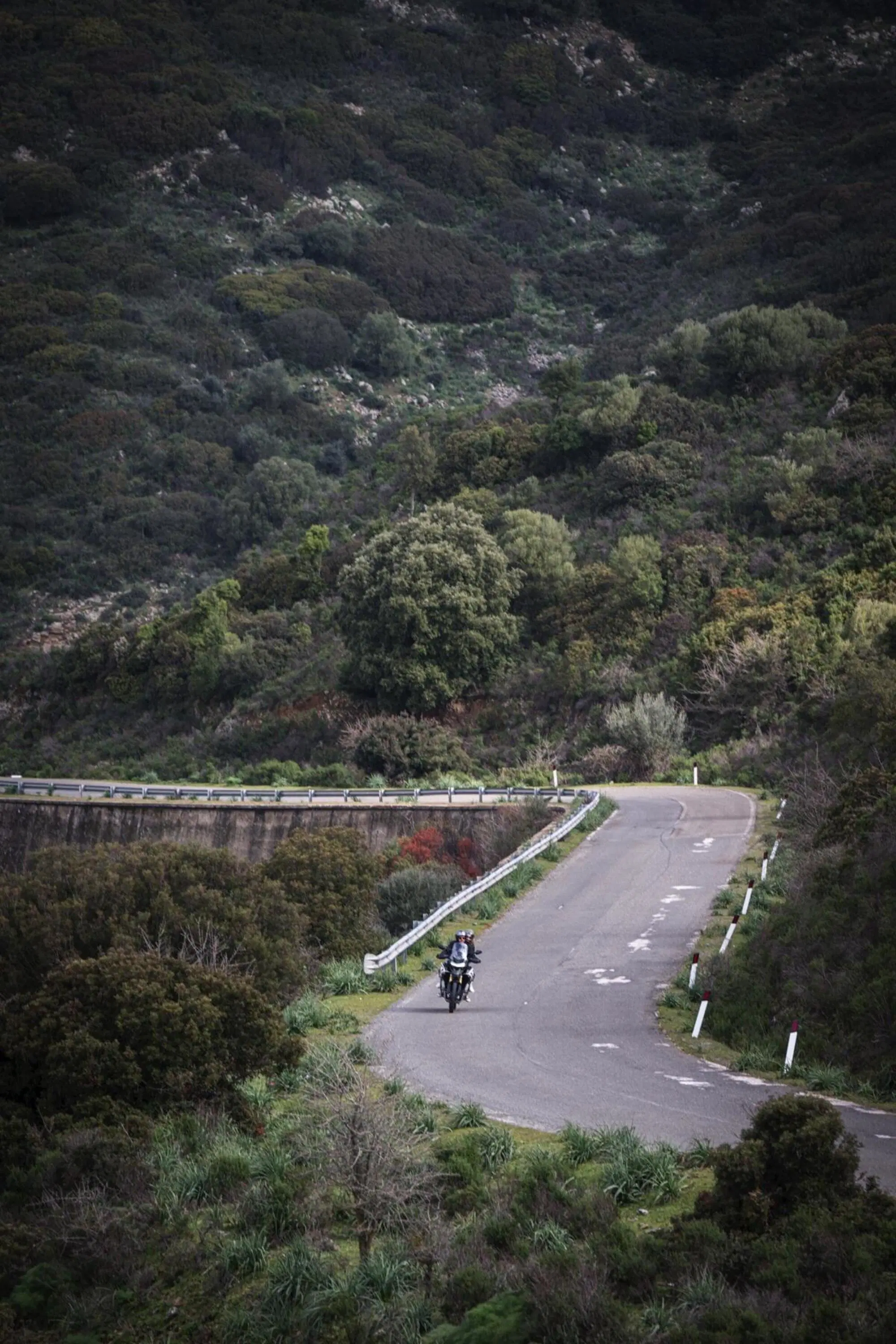Alessandro Servida Triumph Sardegna