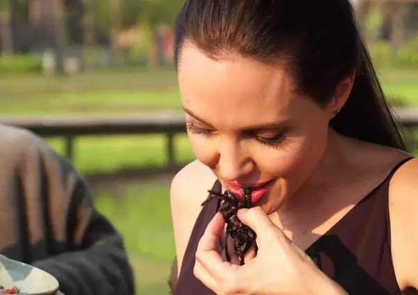 Carne sintetica e insetti, il critico gastronomico: "Sono il futuro, ma non fermeranno gli allevamenti intensivi". Ecco perch&eacute;