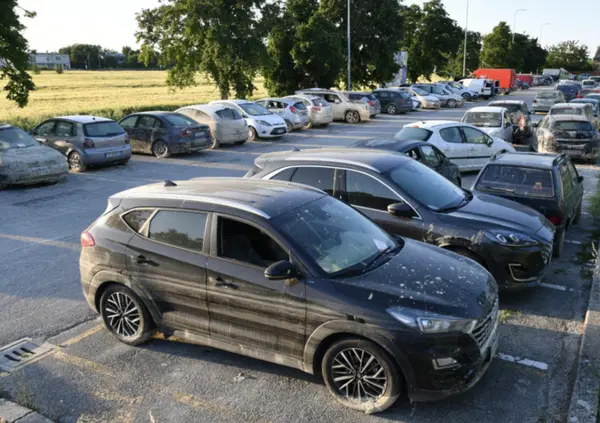 Non solo case e strade. Ecco il cimitero delle auto dopo l'alluvione