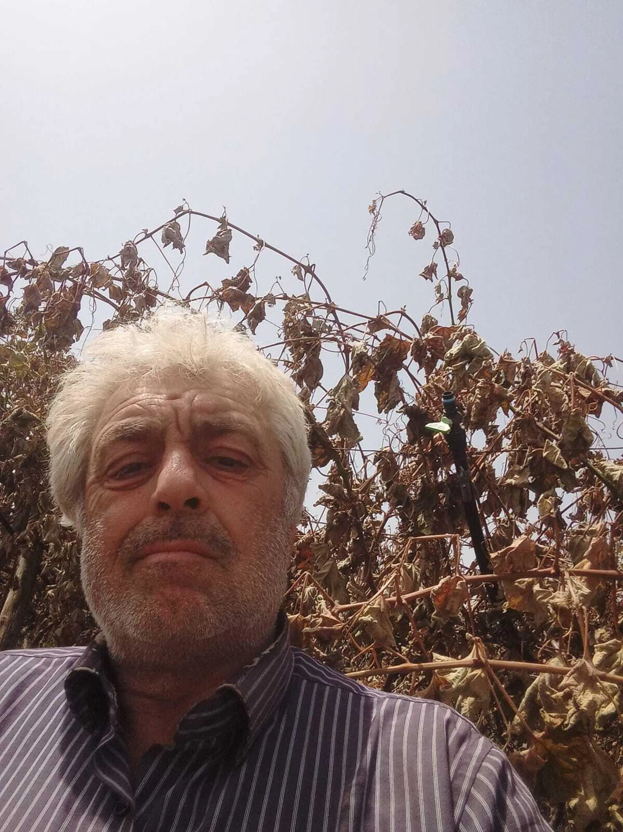 Nicola Ramunno nel suo terreno dopo l'incendio