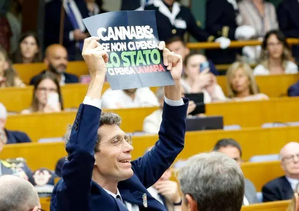 Riccardo Magi, il politico pi&ugrave; antiproibizionista, &egrave; stato intervistato dalla giornalista pi&ugrave; proibizionista d'Italia: il risultato &egrave; stato un delirio