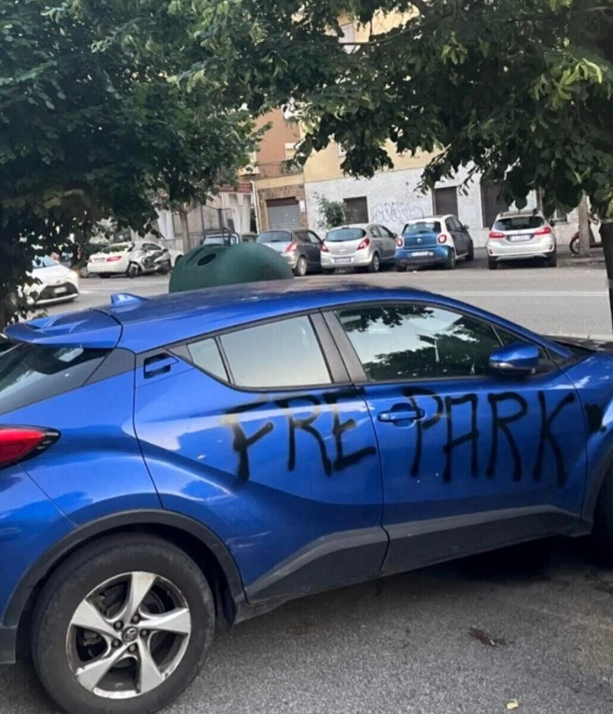 Free Park, inflessibile, ma non nella grammatica