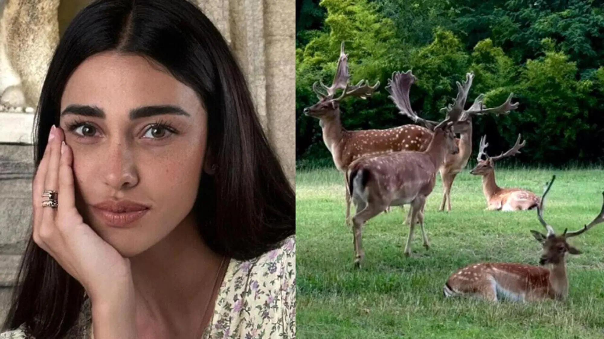 Belen e il post ironico con i cervi