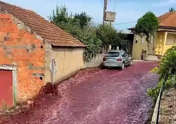 Un incredibile e impetuoso fiume di vino in strada: ecco cos'&egrave; successo e perch&eacute; [VIDEO]