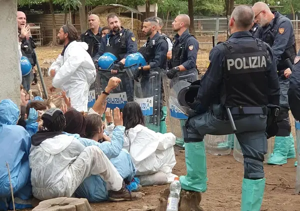 Maiali uccisi &ldquo;per precauzione&rdquo;: a quando le irruzioni in casa per ammazzare cani e gatti a rischio malattia? E anche Joaquin Phoenix reagisce