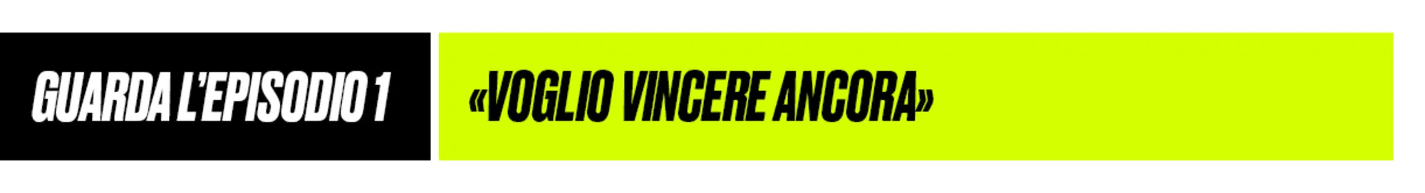 20231025 175645615 9299