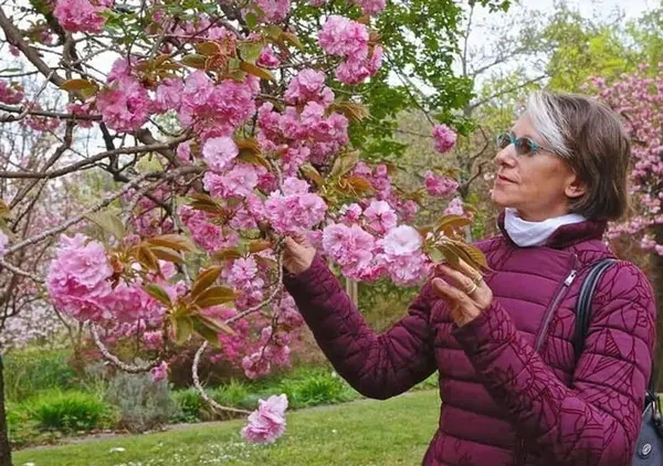 Liliana Resinovich, omicidio o suicidio? Dagli errori nel sopralluogo al video di Chi l'ha visto? &Egrave; ormai tardi per le indagini?