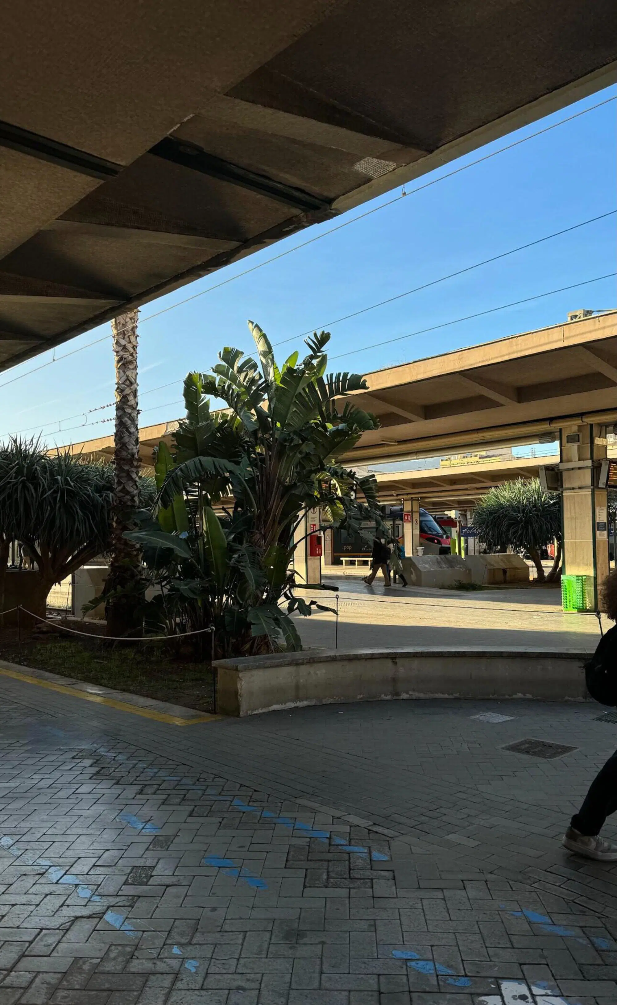 20231222 174350641 9720