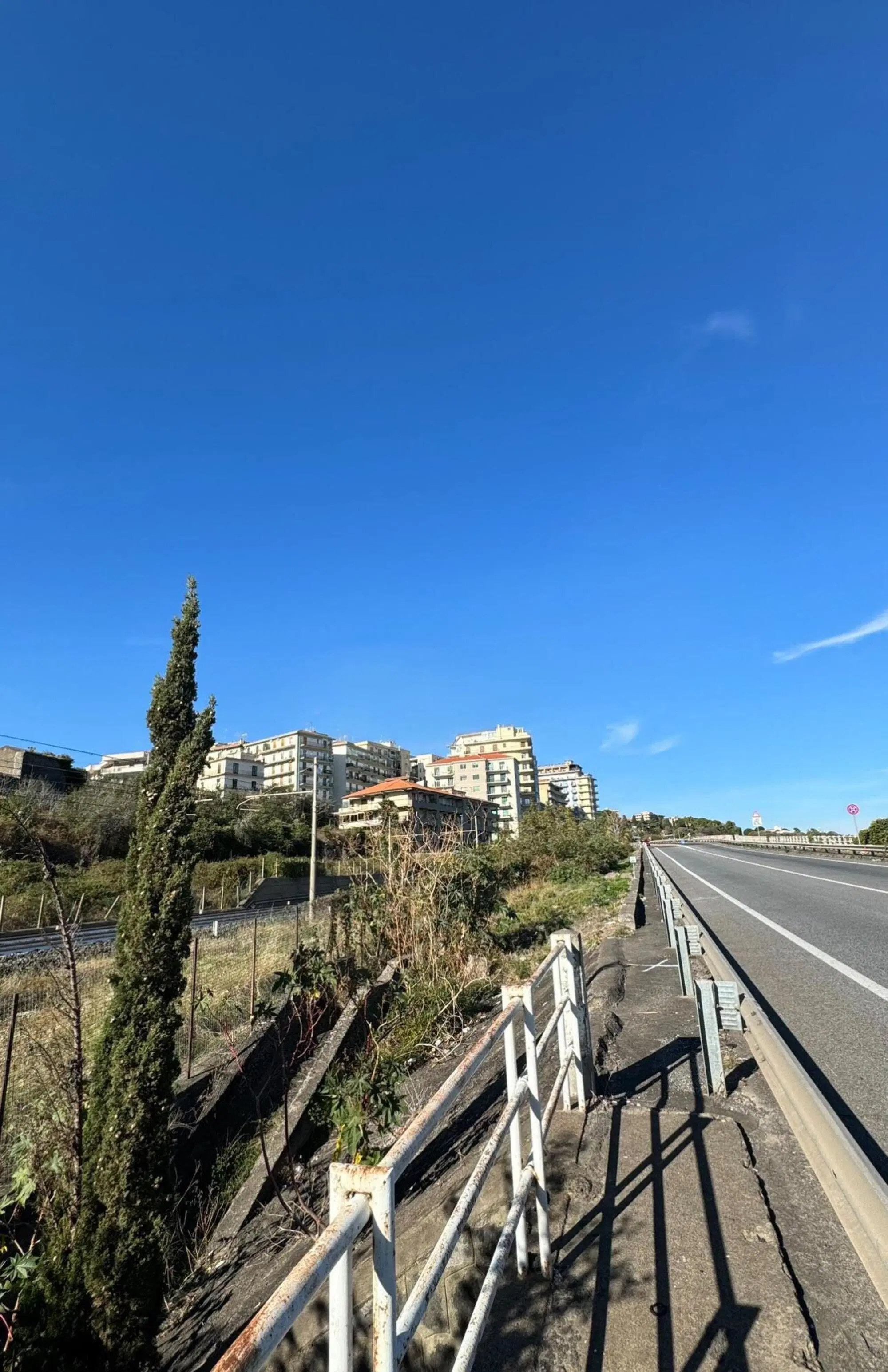 20231223 111105605 5923