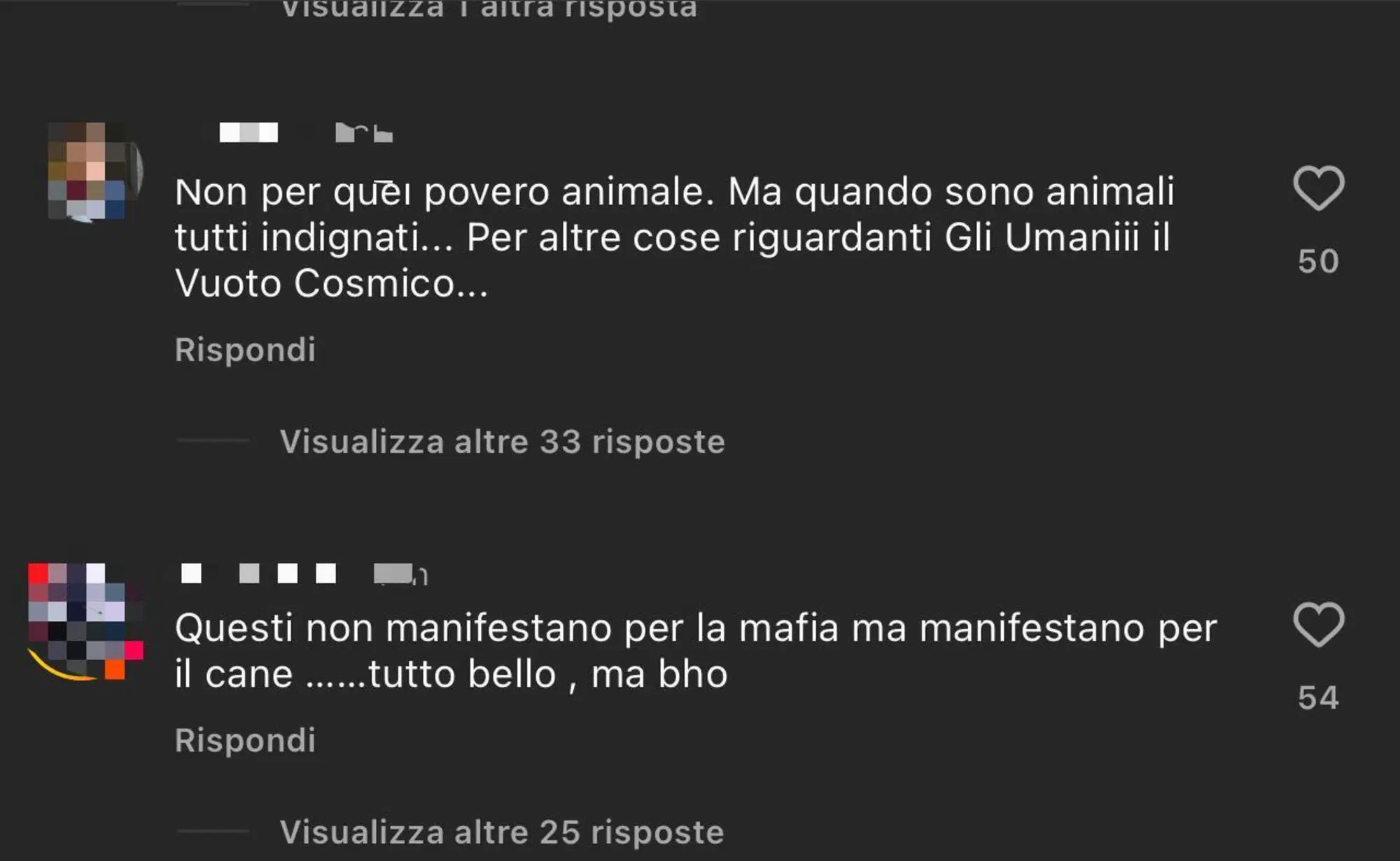Commenti negativi sui partecipanti alla manifestazione per Aaron