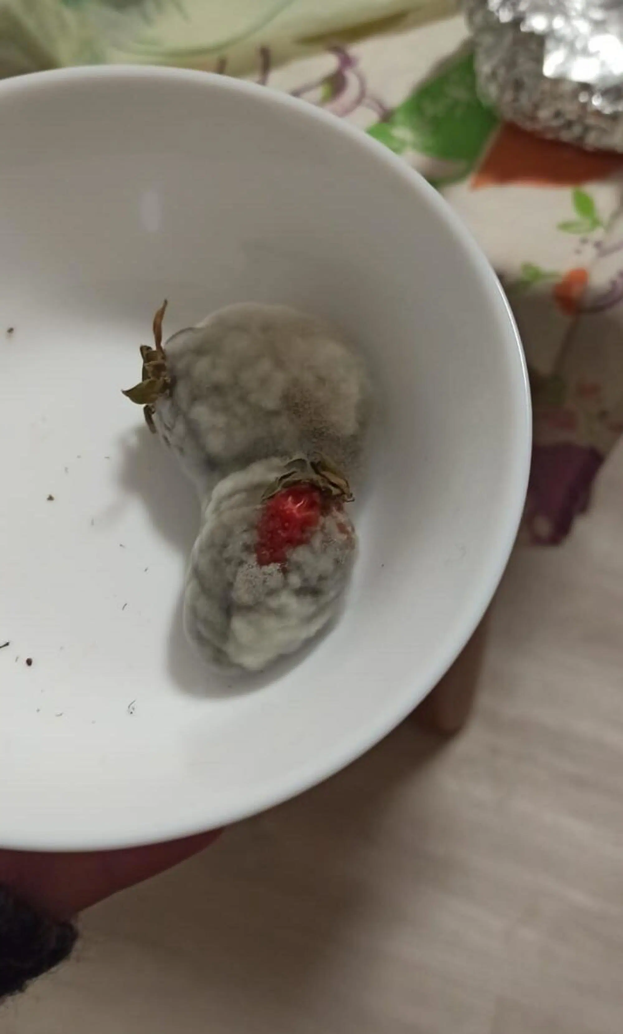 La colazione dopo "Grande figlio di p.....a" di Eleazaro Rossi