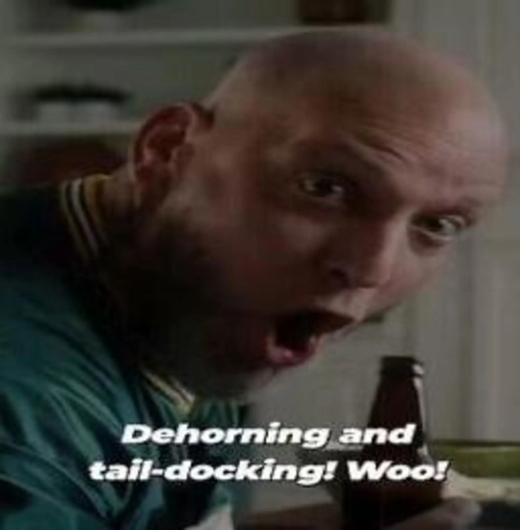 Alcuni fotogrammi della clip di PETA