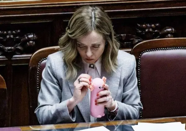 Ma cosa aveva in mano Giorgia Meloni alla Camera? Un astuccio per bambini o un gadget per adulti rosa? Secondo alcuni &egrave; un maialino, ma non lo &egrave;. E allora cos'&egrave;?