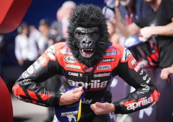 Maverick Vinales trasformato in gorilla dal virus o da Quartararo e Bastianini? Ora &egrave; la sua l&rsquo;Aprilia da battere&hellip;