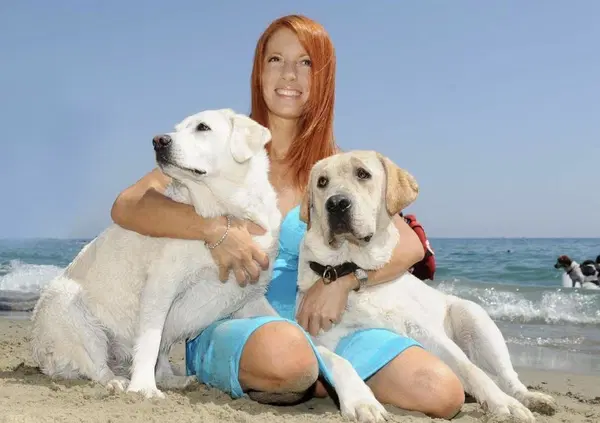 Ma davvero l'animalista Michela Vittoria Brambilla gestisce un canile lager? La denuncia di Rizzi e La Vardera [VIDEO]