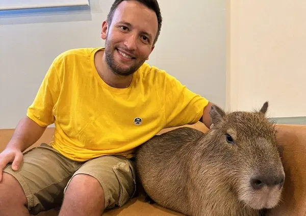 Altro che Cat Caf&egrave;. Siamo stati in Giappone nel bar dove mangi insieme ai topi giganti. Ecco l'esperienza pi&ugrave; assurda del food