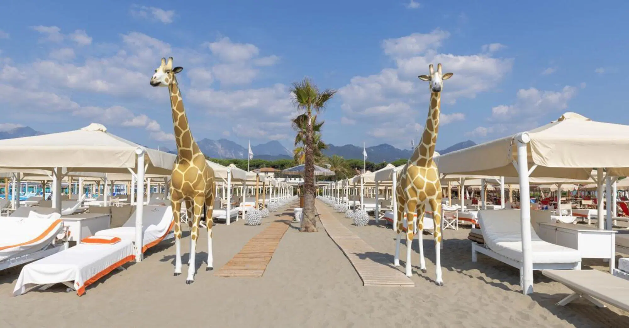 Twiga a Forte dei Marmi in Toscana